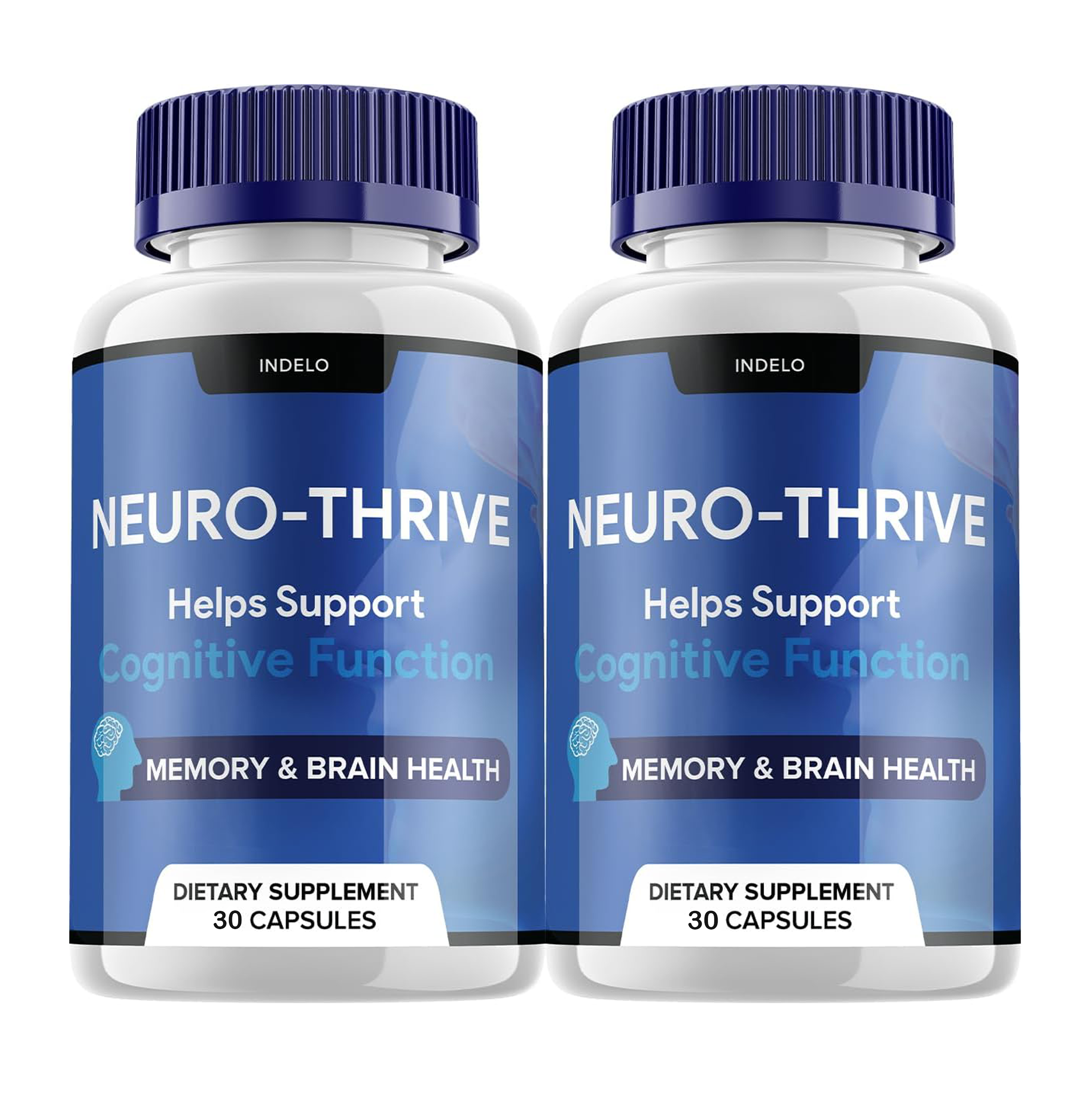 NeuroThrive Contact & Support